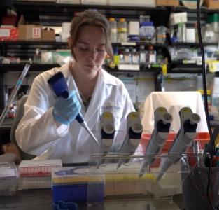 Pathobiology student Maria McCavitt-Malvido puts liquid onto a coverslip using a pipette while working in a lab