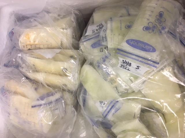 Pasteurized human milk at The Northwest Mother’s Milk Bank. Photo: NWMMB