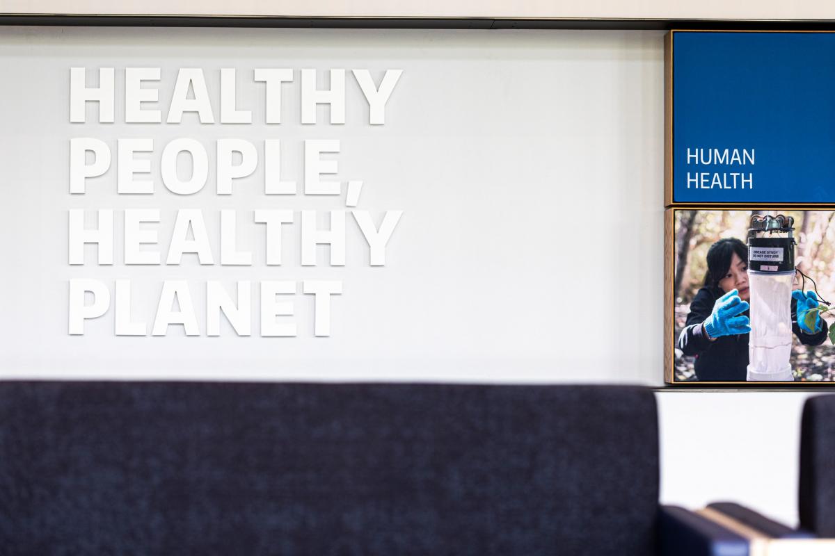 Healthy People, Healthy Planet photo