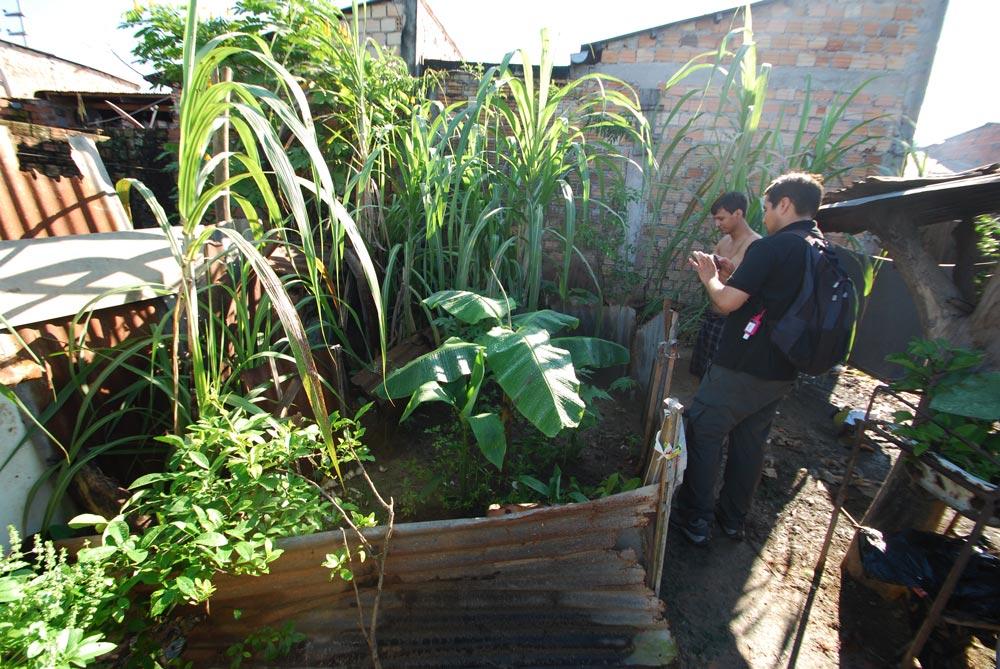 Jorge "Coco" Alarcon inspects a garden in Peru